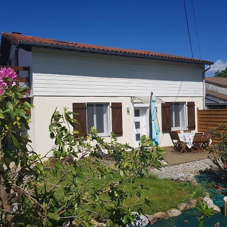 Les Trois Lions Apartment Foix Luaran gambar