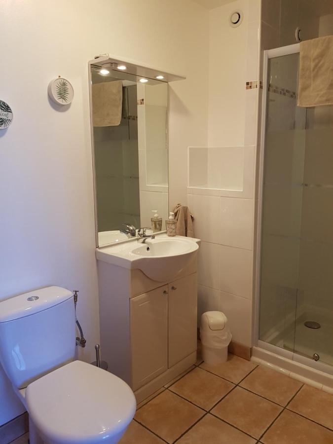 Les Trois Lions Apartment Foix Luaran gambar