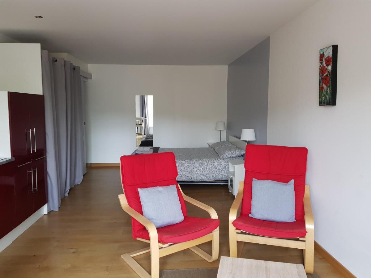 Les Trois Lions Apartment Foix Luaran gambar