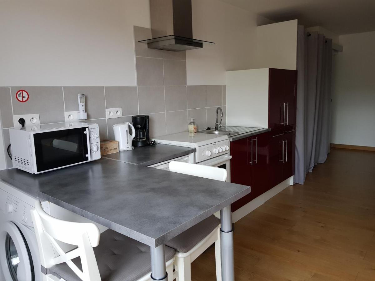 Les Trois Lions Apartment Foix Luaran gambar